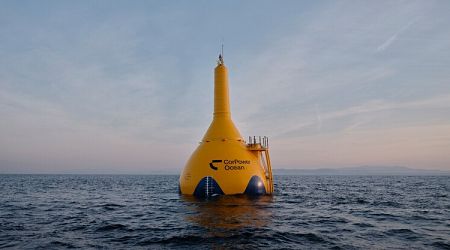 Has wave energy finally found its golden buoy?