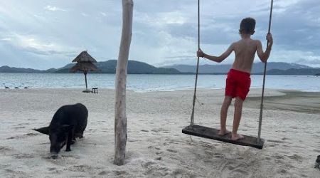 Pig Island, Koh Samui