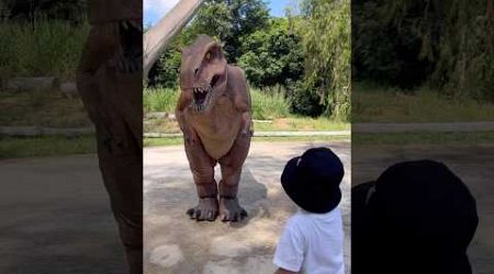 ตะลุยโลกไดโนเสาร์ เปิดใหม่ล่าสุด Pattaya Dinosaur Kingdom・สวนไดโนเสาร์พัทยา