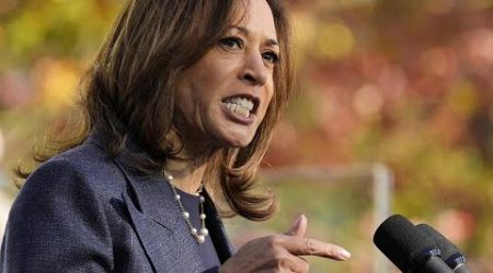 ‘Desperate’: Kamala Harris scrambles as polling trends away from her