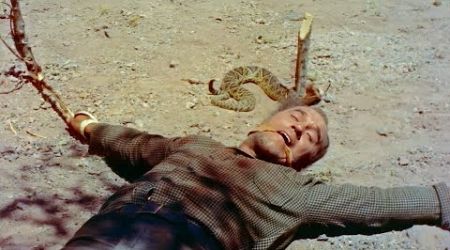 Shotgun (1955, Western Movie) with Yvonne De Carlo, Sterling Hayden | Directed Lesley Selander