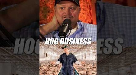 How the Hog Business is One of The Best Food Production Systems