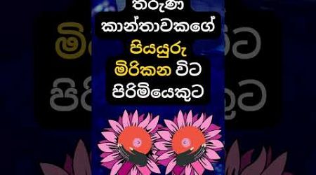 දන්නවද එයාලට වෙන දේ 