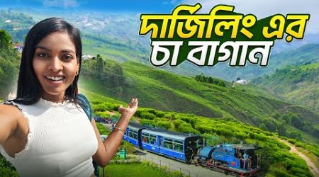 2024 সালে দার্জিলিং কেমন? | Bengali solo travel vlog | Jajabor vlogs | Darjeeling - 03