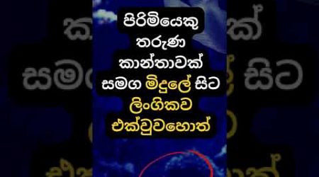 හම්බෝ එහෙම කරොත් මොනවා වෙයිද? 