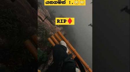 කනත්තට තමා කෙලින්ම