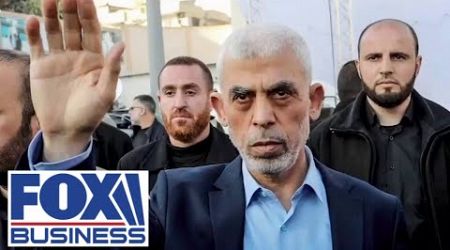 Death of Hamas mastermind &#39;decapitates&#39; leadership, military expert says