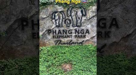 Phang Nga Elephant Park