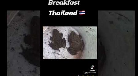 Breakfast in Thailand #music #rocknroll #kiss #pattaya #food #thaiculture #thailand #streetfood