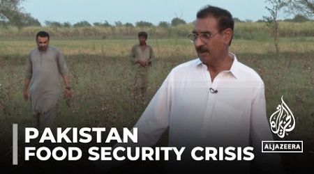 Pakistan agriculture: GOVT imports food as drought chokes farmland