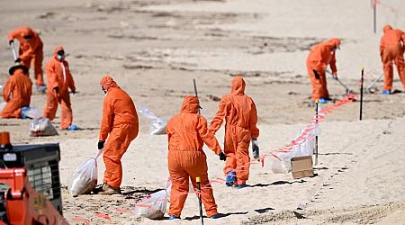 Sydney's 'mystery' toxic beach balls are cosmetic, cleaning product waste