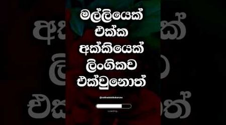 දන්නවද ඒ මල්ලිට වෙනදේ