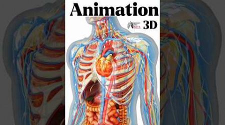 medical animation | #3d #short