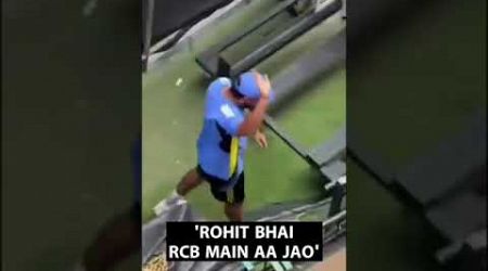 Watch: Rohit Sharma responds to a cricket fan in some style | Sports Today