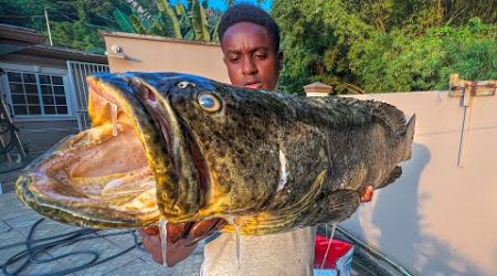 CATCH, CLEAN AND COOK MONSTER FISH FROM THE DEEP!