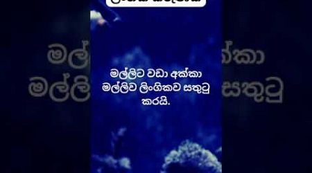 මේ දේ ඇත්තක්ද? 