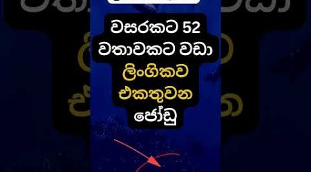 දන්නවද එයාලට වෙන දේ 