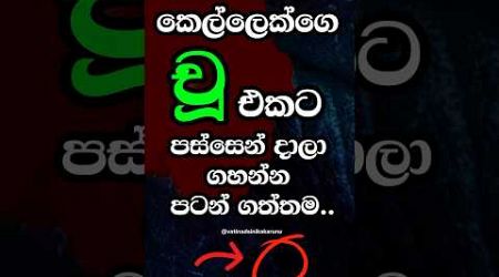 දන්නවද වෙනදේ