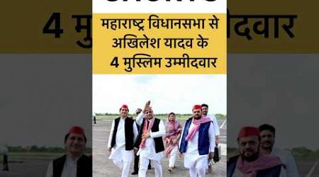 महाराष्ट्र विधानसभा के सबसे पावरफुल उम्मीदवार #maharashtra #akhileshyadav #muslim #politics #shorts