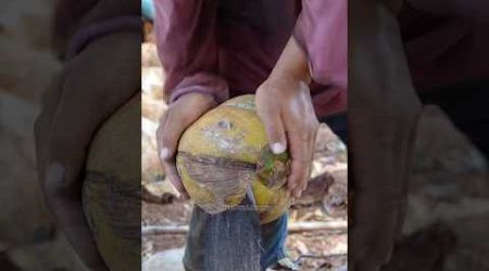 Coconut Cutting And Peeling In Thailand - Fruit Cutting Skills