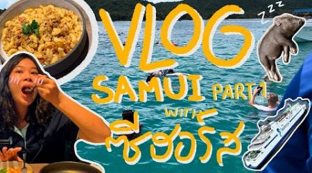 ซีฮอร์ส VLOG KOH SAMUI PART 1 กิน เที่ยว ที่พัก #kohsamui