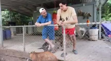 Frank Cuesta, atacado en directo por un canguro: "Me ha metido un piño que mira cómo me ha dejado la cara"