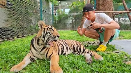 Ray Visits A ZOO In Thailand!