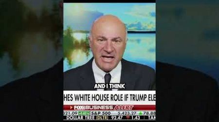 Kevin O&#39;Leary on Elon Musk Getting Involved in Government