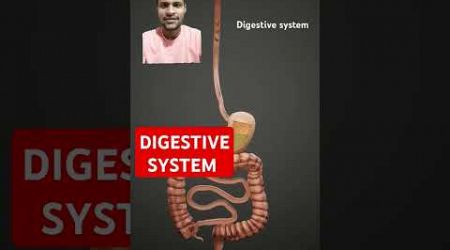 Digestive system #humandigestivesystem #vinayeducationworld #vinay #biology #amazingfacts #medical