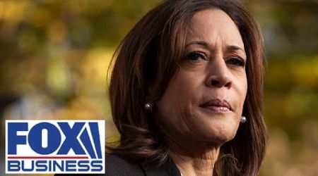 &#39;No way&#39; Kamala Harris is a freedom candidate when she wants to raise $5M in taxes: Steve Moore