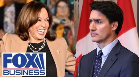 ‘THIS IS A PROBLEM’: Harris is more left than Trudeau, rep scolds