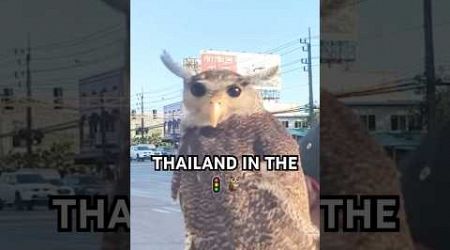 In Thailand at the traffic light... 