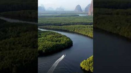 A heart-nourishing scene from Ao Phang Nga.