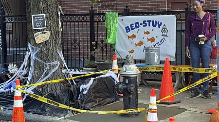 An abrupt goodbye to a guerrilla goldfish aquarium beneath a leaky Brooklyn fire hydrant