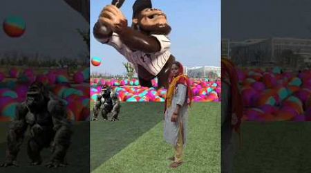 The mascot vibrato assistant placedonthe football field is popular,co-produced,creative new spe