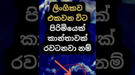 ඇත්තටම එයාලා එහෙම කරනවද? 