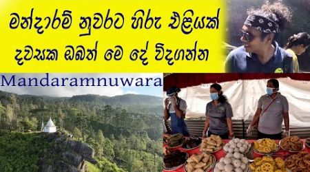 මන්දාරම් නුවරට සංචාරකයෝ 