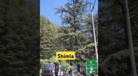 #pahadivlogs#shimla #shortsfeed #travel #trendingshorts #trendingvideo #viralvideo