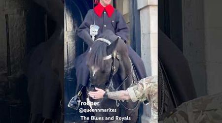 The Blues and Royals #highlights #history #london #horse #travel #travelvlog