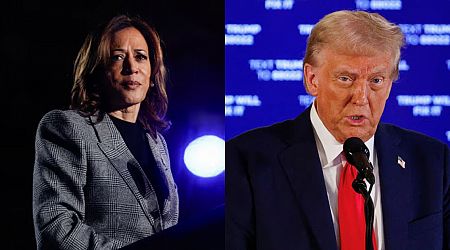 Harris warns of dangers of another Trump presidency