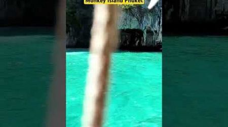 #shorts Monkey Island Phuket #yt #travel #reels #viralvideo #viralreels #viralshorts #shortvideo