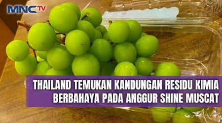 Thailand Temukan Kandungan Residu Kimia Berbahaya pada Anggur Shine Muscat - LIP 30/10