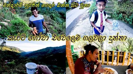 උදෙන්ම පිදුරුතලාගල පාමුලට ගියා 