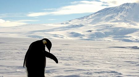 China-Russia cooperation blocks Antarctic conservation proposals