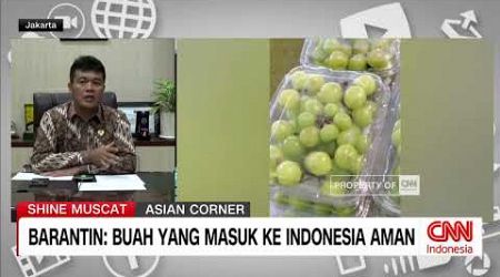 Ramai Anggur Shine Muscat di Thailand, Barantin: Buah Yang Masuk Ke Indonesia Aman