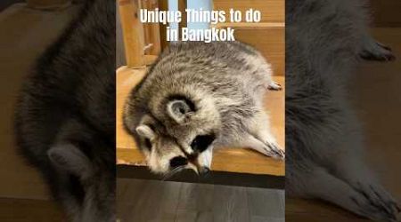 Unique Things to do in Bangkok pt. 1 #bangkoktravel #bangkokcafe #bangkokthailand #travelvlog #nomad