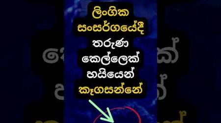 ඇයි ඇත්තටම එයාලා කෑගහන්නේ 