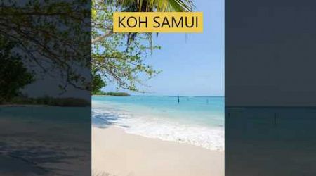 Koh Samui’s Top Spots You Can’t Miss! (Watch the Full Guide)