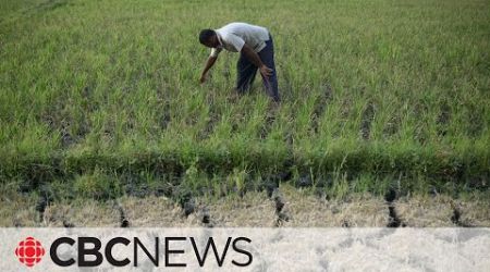 Climate change is driving record-breaking threats to human health, experts warn