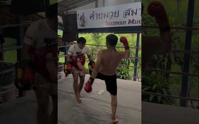 #SamanMuaythai #samui #thailand #muaythai #thailand #สมานมวยไทย